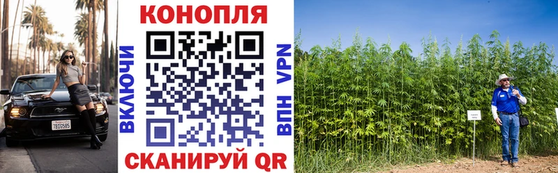 Купить закладку A-PVP  Кокаин  Мефедрон  Гашиш  Емва