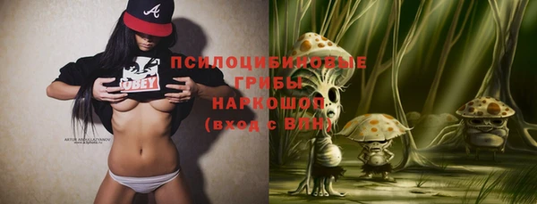 дживик Мегион