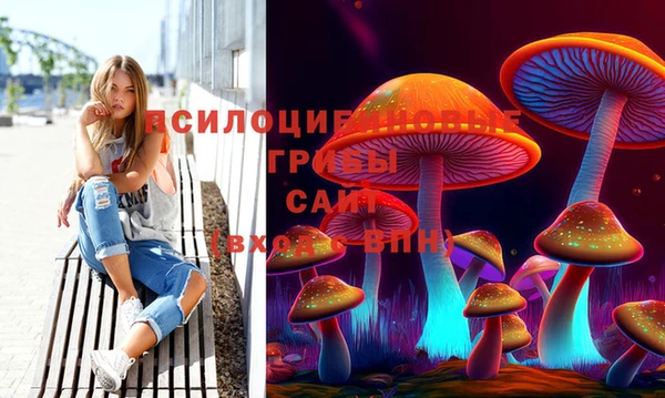 дмт Медногорск