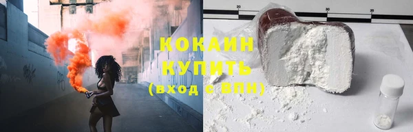 дживик Мегион