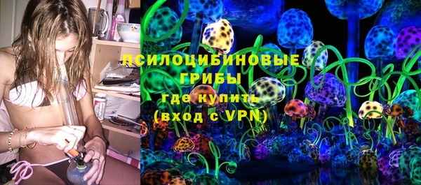 дживик Мегион
